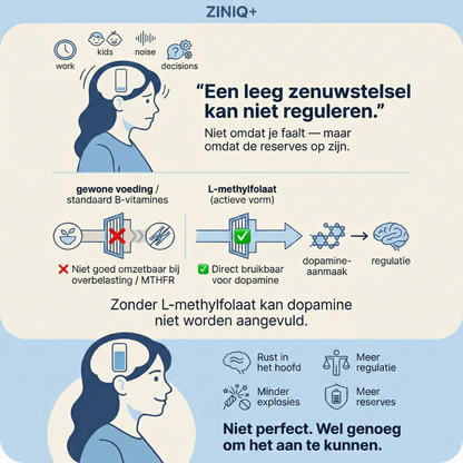 ZINIQ+ MethylFocus Volwassenen | Geactiveerd folaat voor rust, focus en mentale veerkracht